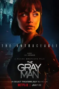 Poster to the movie "The Gray Man" #45820