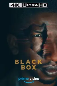 Poster to the movie "Black Box" #283786