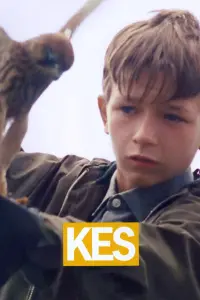 Poster to the movie "Kes" #211584