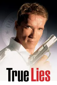 Poster to the movie "True Lies" #242860