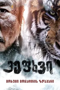 Poster to the movie "The Tiger" #340310