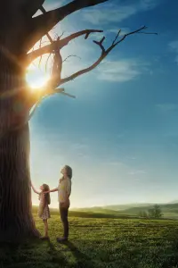 Poster to the movie "Miracles from Heaven" #217682