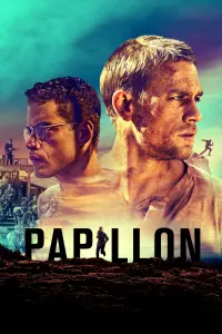 Poster to the movie "Papillon" #83841