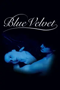 Poster to the movie "Blue Velvet" #204333