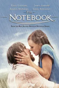 Poster to the movie "The Notebook" #31031