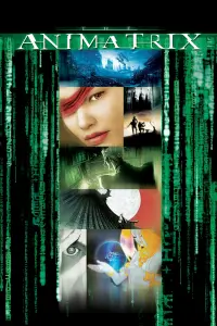 Poster to the movie "The Animatrix" #85057