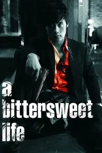 Poster to the movie "A Bittersweet Life" #117275