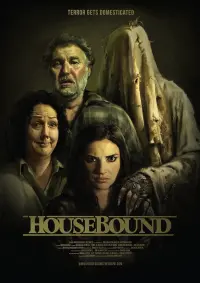 Poster to the movie "Housebound" #277026