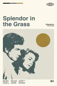 Poster to the movie "Splendor in the Grass" #592014