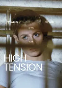 Poster to the movie "High Tension" #680903