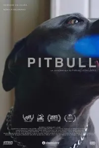 Poster to the movie "Pitbull" #561793