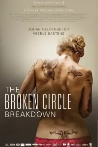 Poster to the movie "The Broken Circle Breakdown" #201406