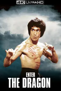 Poster to the movie "Enter the Dragon" #66013