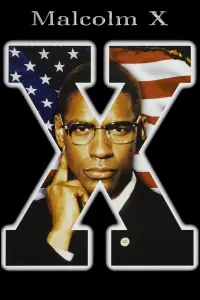 Poster to the movie "Malcolm X" #112588