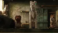 Backdrop to the movie "Isle of Dogs" #569408