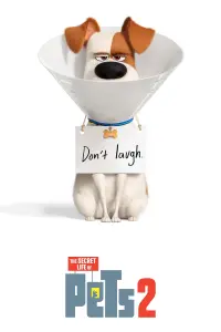 Poster to the movie "The Secret Life of Pets 2" #32667