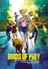 Poster to the movie "Birds of Prey (and the Fantabulous Emancipation of One Harley Quinn)" #34845