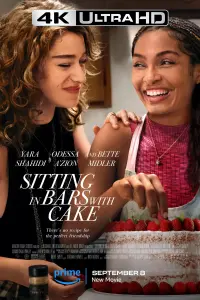 Poster to the movie "Sitting in Bars with Cake" #89682