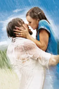 Poster to the movie "The Notebook" #370678