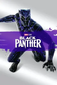 Poster to the movie "Black Panther" #219865