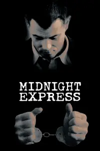 Poster to the movie "Midnight Express" #116064