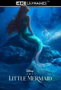 Poster to the movie "The Little Mermaid" #5633