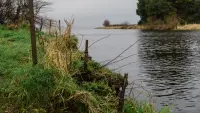 Backdrop to the movie "The Bannfoot Ferry" #506860