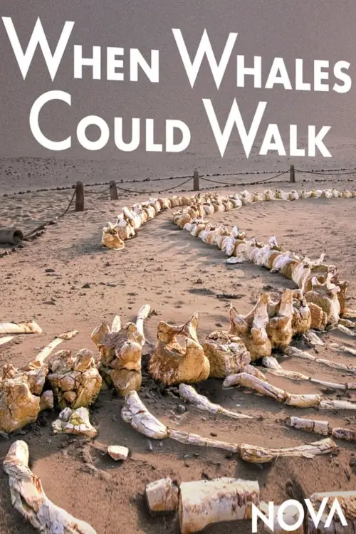 Movie poster "When Whales Could Walk"