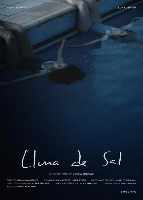 Movie poster "Lluna de Sal"