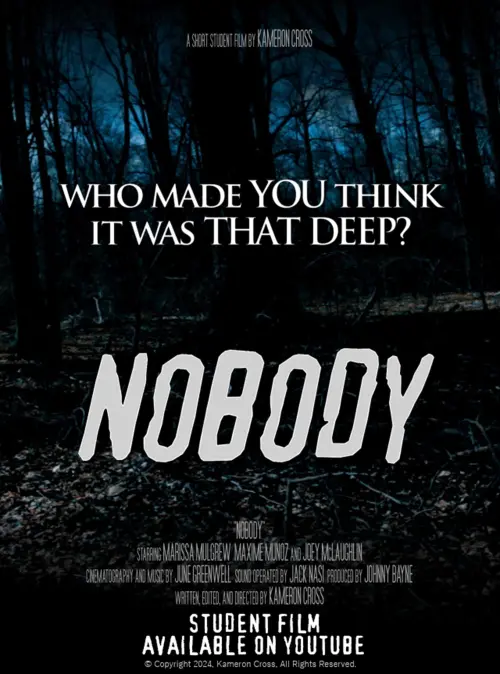 Movie poster "Nobody"