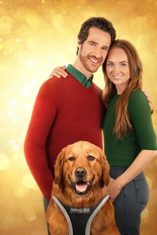 Movie poster "My Christmas Guide"