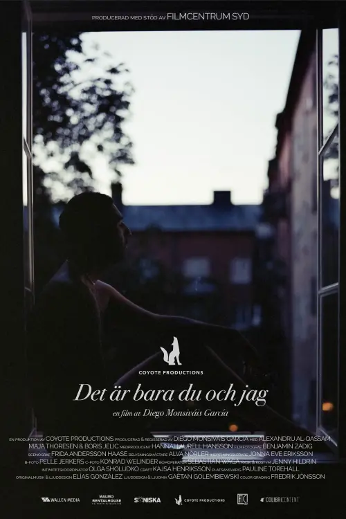 Movie poster "Det är bara du och jag"