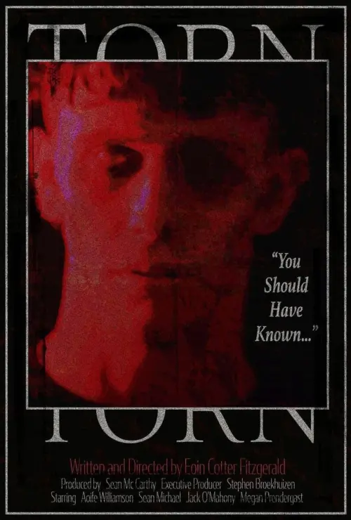 Movie poster "Torn"