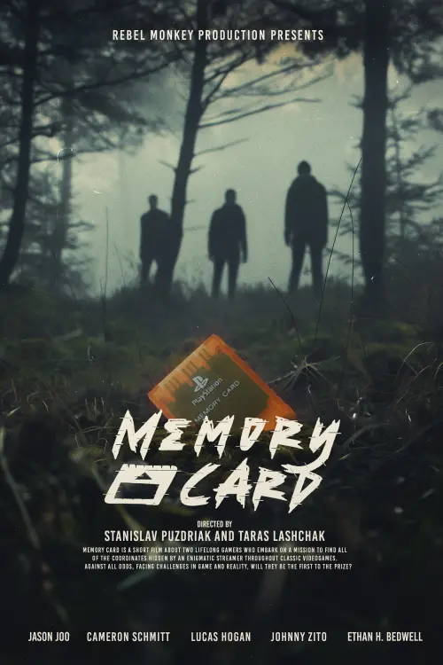 Movie poster "Memory Card"