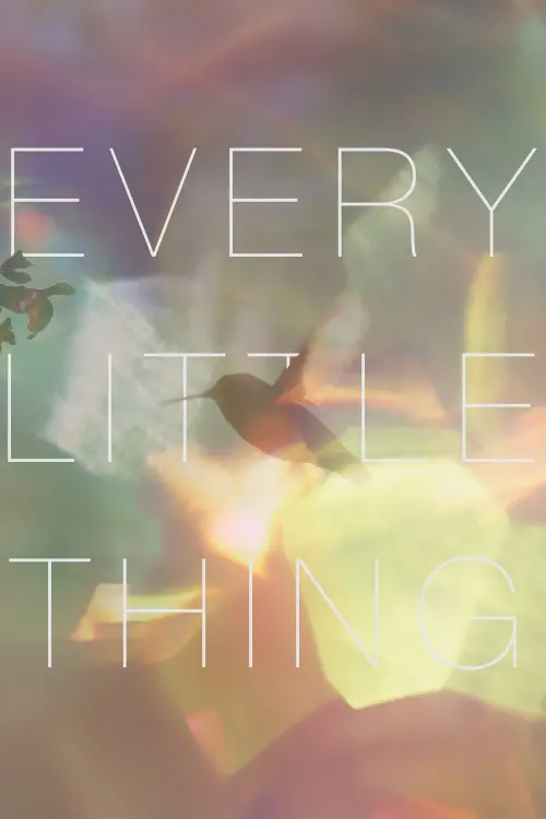 Movie poster "Every Little Thing"