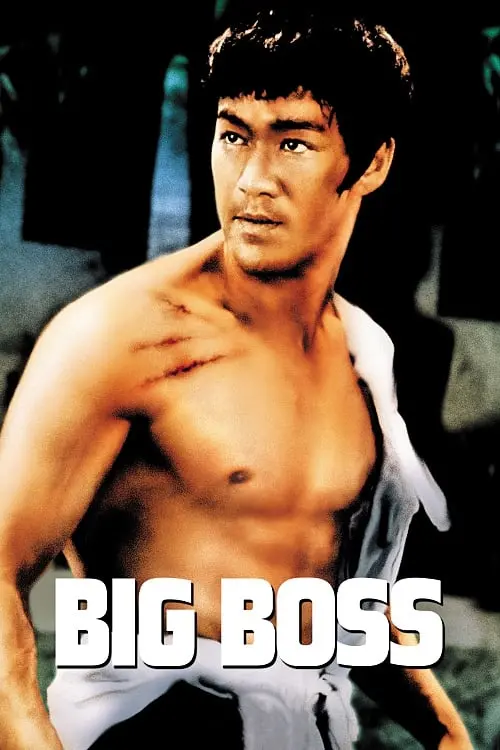 Movie poster "The Big Boss"