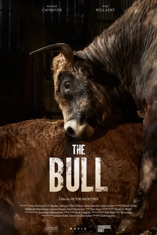 Movie poster "The Bull"