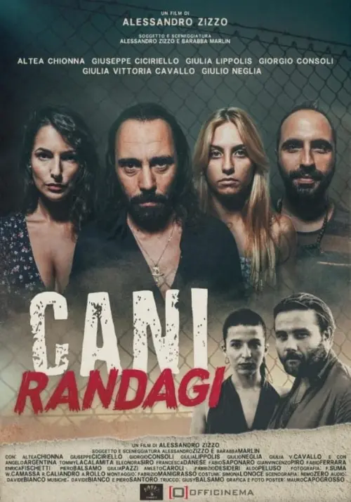 Movie poster "Cani Randagi"