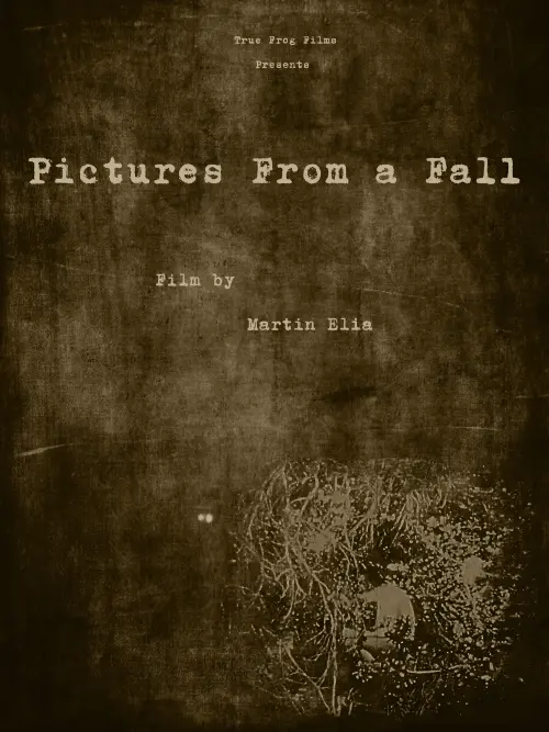 Movie poster "Pictures From a Fall"