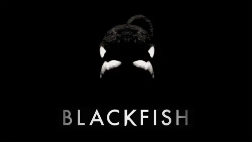 Watch film Blackfish | Blackfish Official Trailer #1 (2013) - Documentary Movie HD