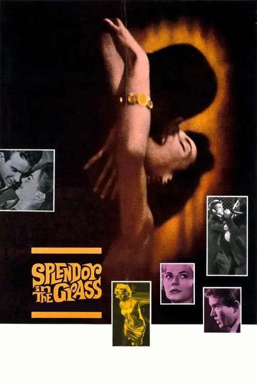 Movie poster "Splendor in the Grass"