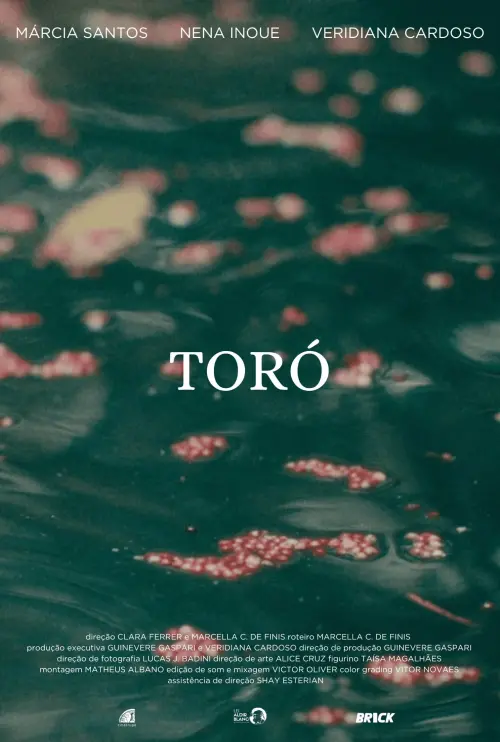 Movie poster "Toró"