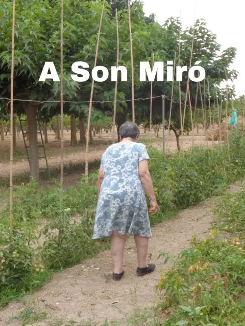 Movie poster "A Son Miró"