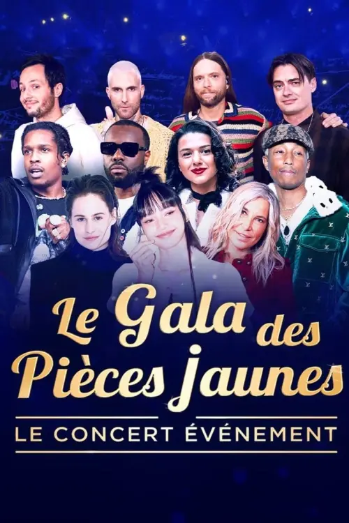 Movie poster "Le gala des pièces jaunes : Le concert événement"