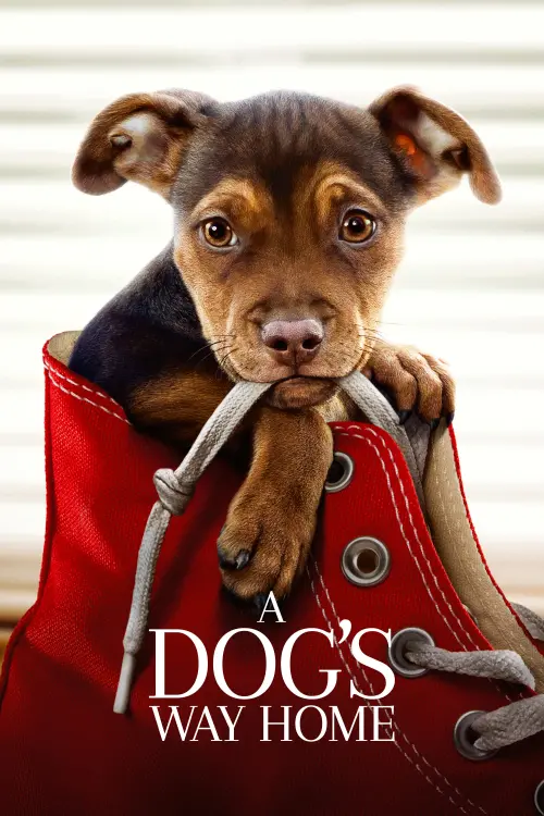 Movie poster "A Dog