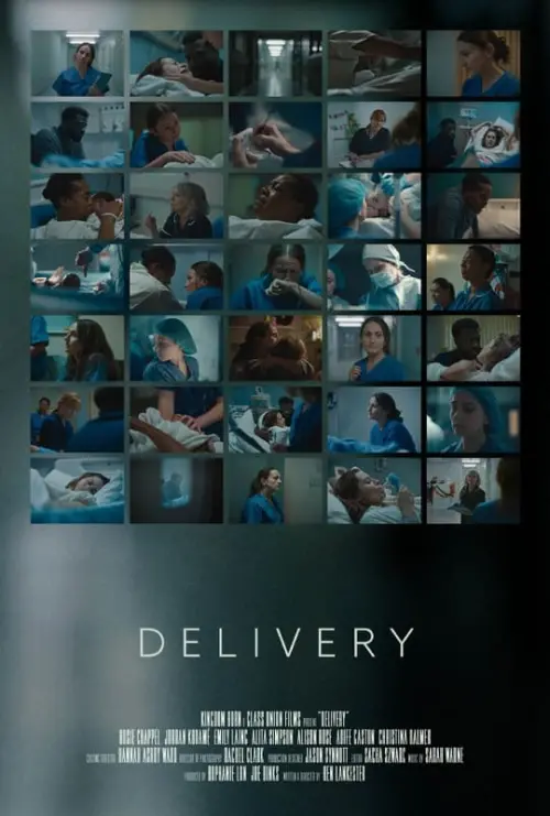 Movie poster "Delivery"