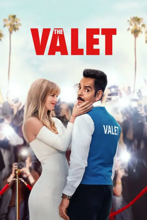 Movie poster "The Valet"