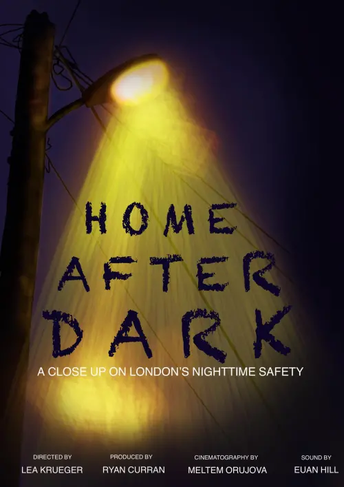 Movie poster "Home After Dark"