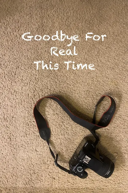 Movie poster "Goodbye For Real This Time"