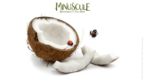 Watch film Minuscule 2: Mandibles from Far Away | official trailer